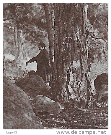 BALLANCOURT - N° 34 - UN ASPECT D' UNE PARTIE DE LA MONTAGNE AVEC PERSONNAGE - Ballancourt Sur Essonne