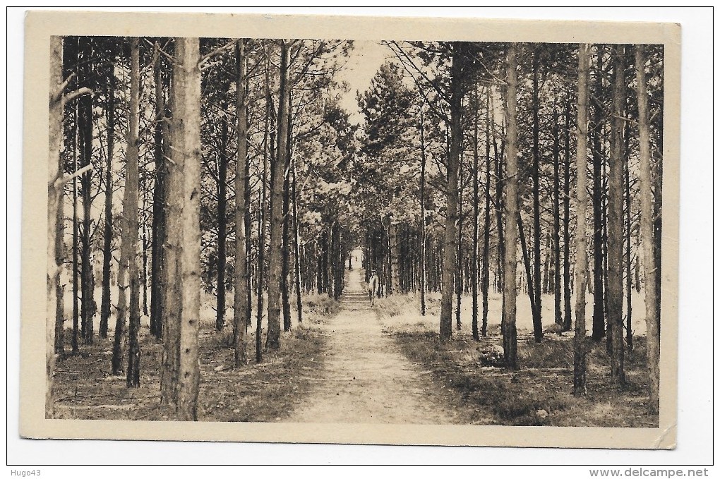 BIERVILLE - LE FOYER DE LA PAIX - L' ALLEE SAINT JEAN - FORMAT CPA - Boissy-la-Rivière