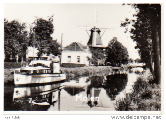 Zuidlaren - 'Vakantie Koersbericht' ; Hunebed, Sanatorium, Gemeentehuis, Molen, Stootsbergen Etc. - Drenthe  / Nederland - Zuidlaren