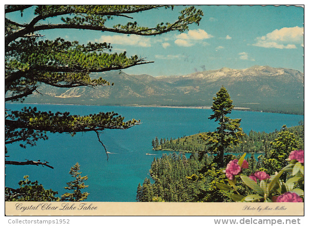 11797- LAKE TAHOE- PANORAMA, MOUNTAINS - Autres & Non Classés