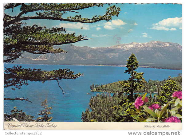 11798- LAKE TAHOE- PANORAMA, MOUNTAINS - Autres & Non Classés