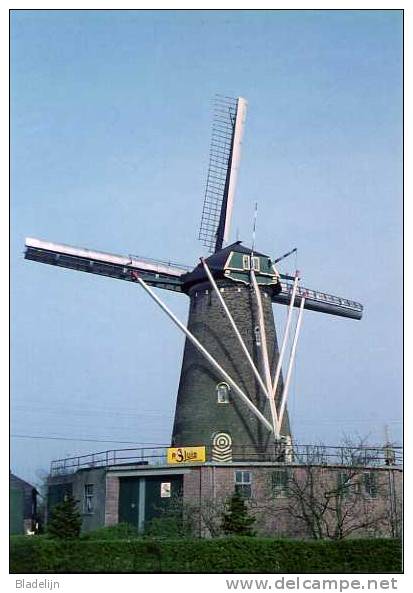 WOUW Bij Roosendaal (Noord-Brabant) - Molen/moulin - Historische Opname Van Molen De Arend Met Van Riet Kleppen - Roosendaal
