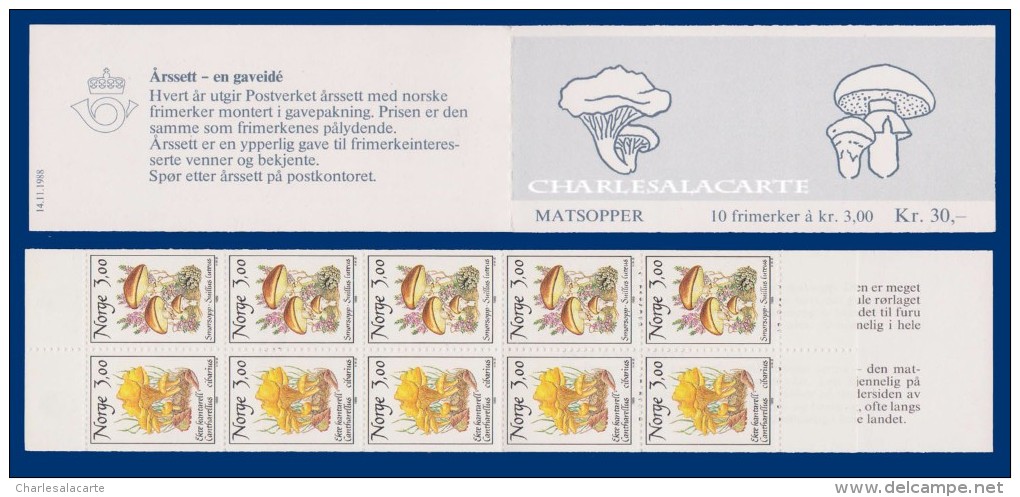 1989 NORWAY MUSHROOMS BOOKLET 30 KR. FACIT H 73 CARNET CHAMPIGNONS - Carnets