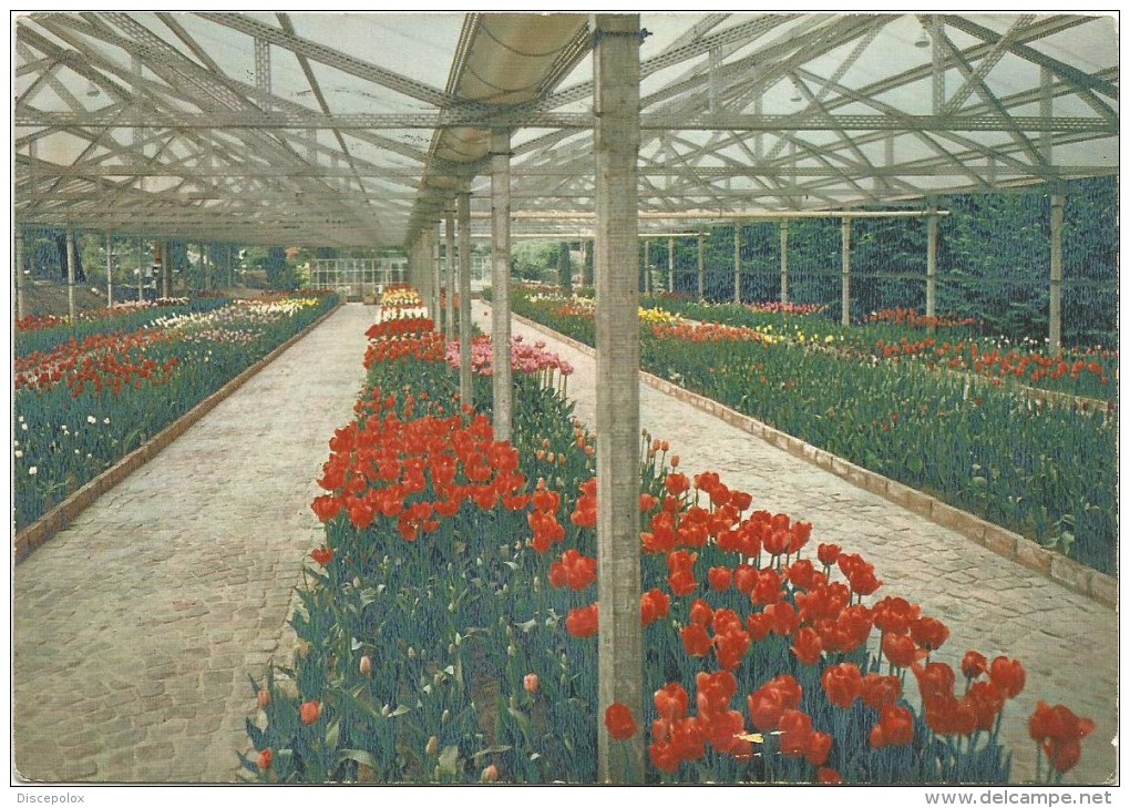 K2734 Torino - Parco Del Valentino - Esposizione Internazionale Fiori Dal Mondo 1961 / Viaggiata 1965 - Mostre, Esposizioni