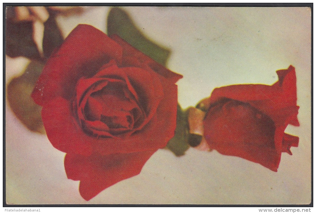 1975-EP-1 CUBA 1975. Ed.118c. ENTERO POSTAL. POSTAL STATIONERY. MOTHER DAY SPECIAL DELIVERY. ROSAS. ROSE. FLOWERS. FLORE - Cartas & Documentos