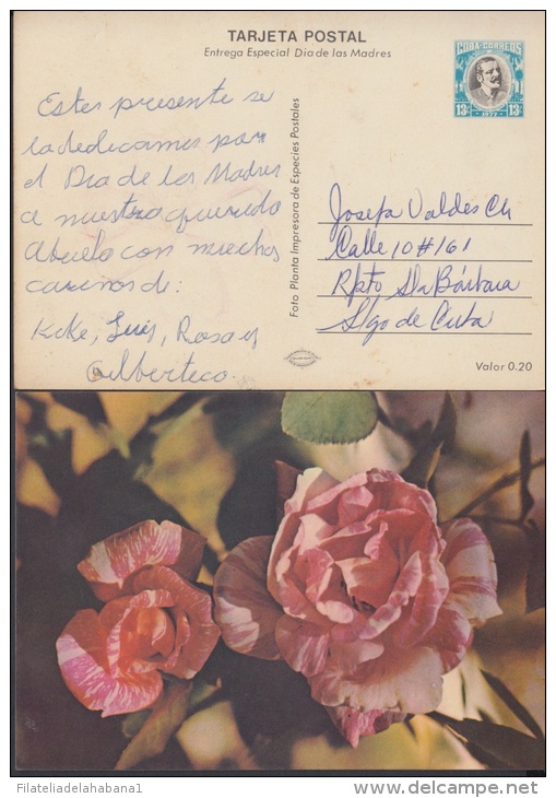 1977-EP-8 CUBA 1977. Ed.120b. ENTERO POSTAL. POSTAL STATIONERY. MOTHER DAY SPECIAL DELIVERY. ROSAS. ROSE. FLOWERS. FLORE - Storia Postale
