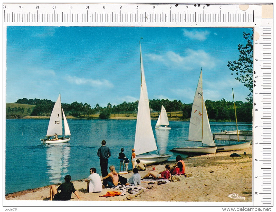 CHATEAU LA VALLIERE   -   Le  LAC   -    Ecole De  Voile - Sonstige & Ohne Zuordnung