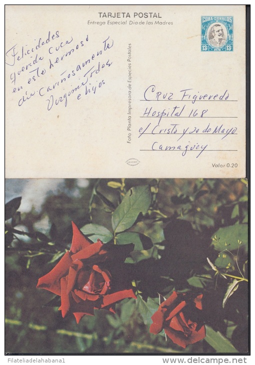 1978-EP-7 CUBA 1978. Ed.122b. MOTHER DAY SPECIAL DELIVERY. CARTULINA MATE. ROSAS. ROSE. FLOWERS. FLORES. USED. - Brieven En Documenten