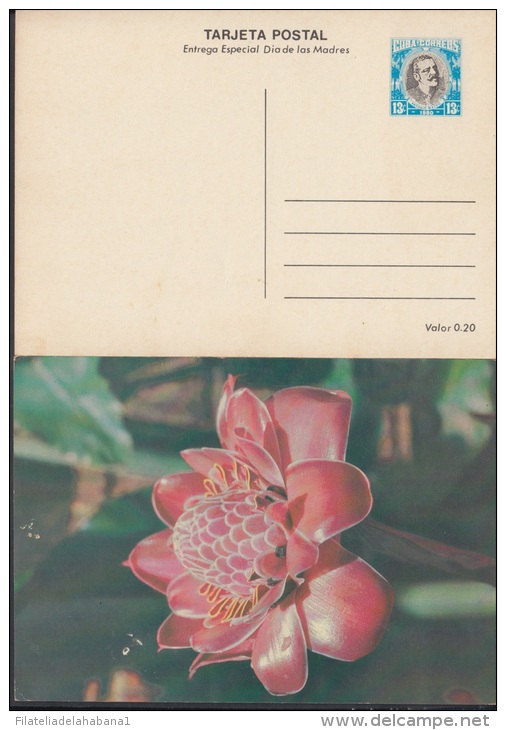 1980-EP-4 CUBA 1980. Ed.125f. MOTHER DAY SPECIAL DELIVERY. ENTERO POSTAL. POSTAL STATIONERY. ROSAS. ROSE. FLOWERS. FLORE - Neufs