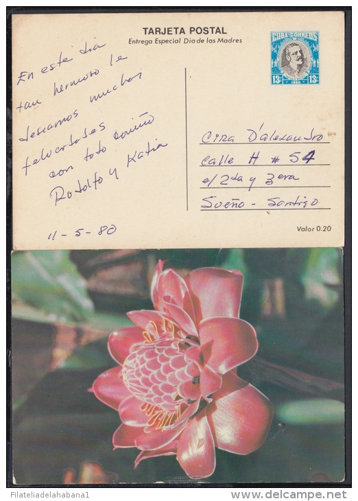 1980-EP-5 CUBA 1980. Ed.125f. MOTHER DAY SPECIAL DELIVERY. ENTERO POSTAL. POSTAL STATIONERY. ROSAS. ROSE. FLOWERS. FLORE - Ongebruikt