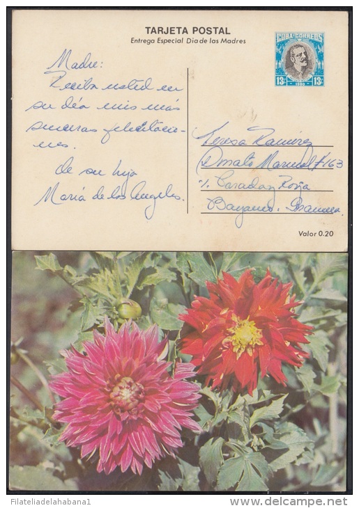 1980-EP-6 CUBA 1980. Ed.125i. MOTHER DAY SPECIAL DELIVERY. ENTERO POSTAL. POSTAL STATIONERY. ROSAS. ROSE. FLOWERS. FLORE - Neufs