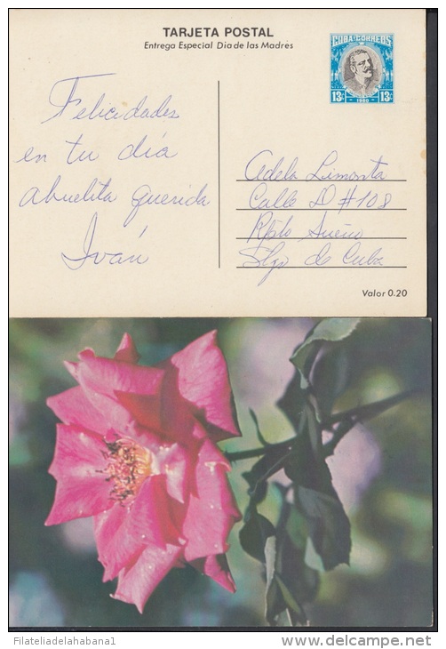 1980-EP-7 CUBA 1980. Ed.125e. MOTHER DAY SPECIAL DELIVERY. ENTERO POSTAL. POSTAL STATIONERY. ROSAS. ROSE. FLOWERS. FLORE - Ongebruikt