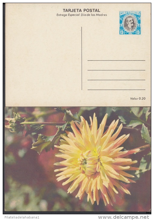 1980-EP-8 CUBA 1980. Ed.125c. MOTHER DAY SPECIAL DELIVERY. ENTERO POSTAL. POSTAL STATIONERY. ROSAS. ROSE. FLOWERS. FLORE - Ongebruikt