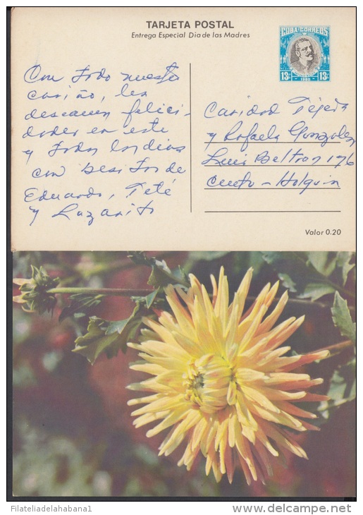 1980-EP-9 CUBA 1980. Ed.125c. MOTHER DAY SPECIAL DELIVERY. ENTERO POSTAL. POSTAL STATIONERY. ROSAS. ROSE. FLOWERS. FLORE - Ongebruikt