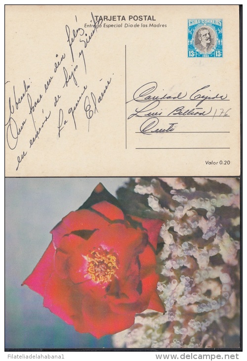 1980-EP-10 CUBA 1980. Ed.125d. MOTHER DAY SPECIAL DELIVERY. ENTERO POSTAL. POSTAL STATIONERY. ROSAS. ROSE. FLOWERS. FLOR - Neufs