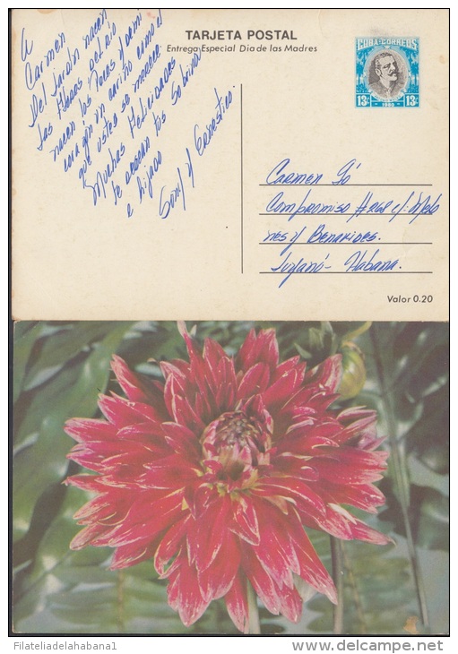 1980-EP-25 CUBA 1980. Ed.125a. MOTHER DAY SPECIAL DELIVERY. ENTERO POSTAL. POSTAL STATIONERY. FLOWERS. FLORES. USED. - Neufs
