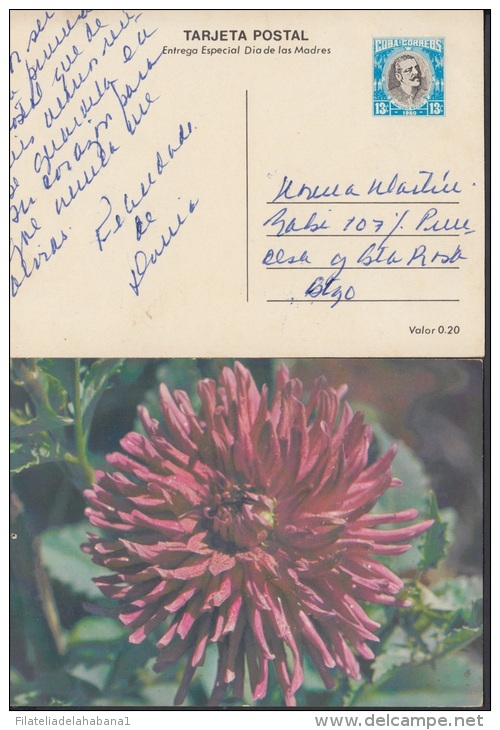 1980-EP-27 CUBA 1980. Ed.125j. MOTHER DAY SPECIAL DELIVERY. ENTERO POSTAL. POSTAL STATIONERY. FLOWERS. FLORES. USED. - Ongebruikt