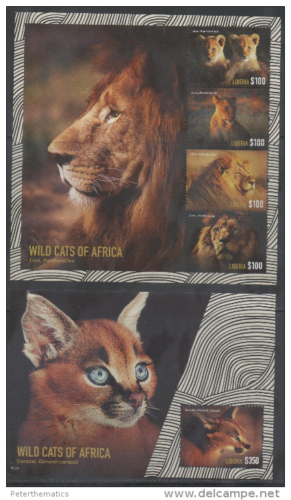 LIBERIA, 2014 , MNH, WILD CATS OF AFRICA, LIONS, CARACAL, SHEETLET + S/SHEET - Big Cats (cats Of Prey)