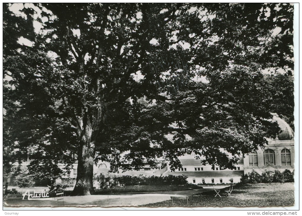 Saint Honoré Les Bains : établissement Thermal - Le Gros Chêne Du Parc (n°10éd Artistic) Arbre Dentelée - Saint-Honoré-les-Bains