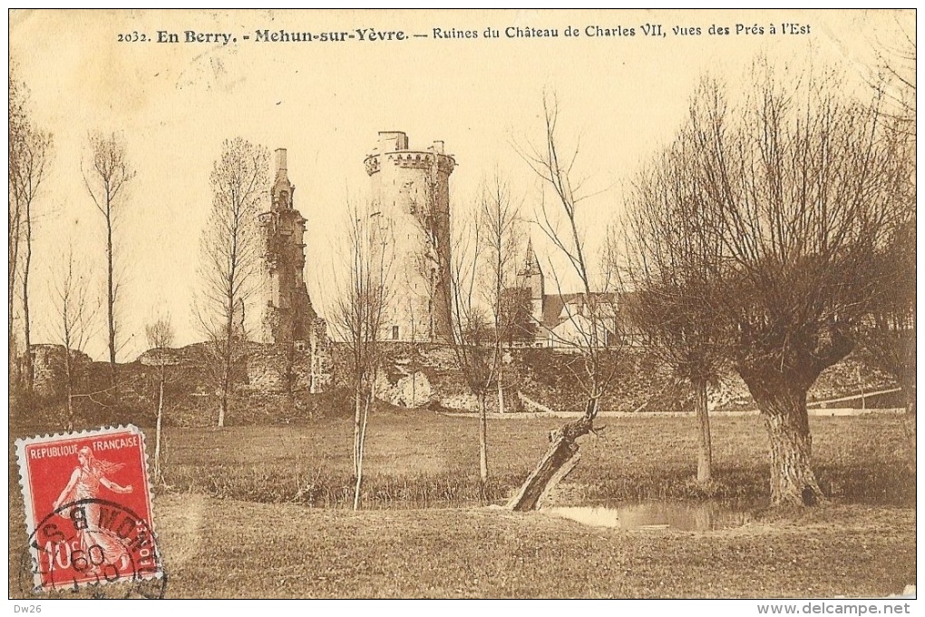 Mehun-sur-Yèvre - Ruines Du Château De Charles VII, Vues Des Prés à L'Est - Mehun-sur-Yèvre