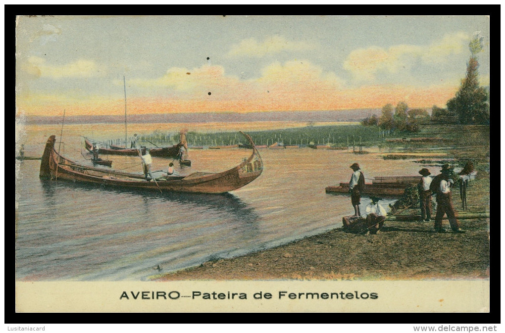 PORTUGAL - AVEIRO - AGUEDA - Pateira De Fermentelos  ( Ed.Torres Morais & C.ª )  Carte Postale - Aveiro