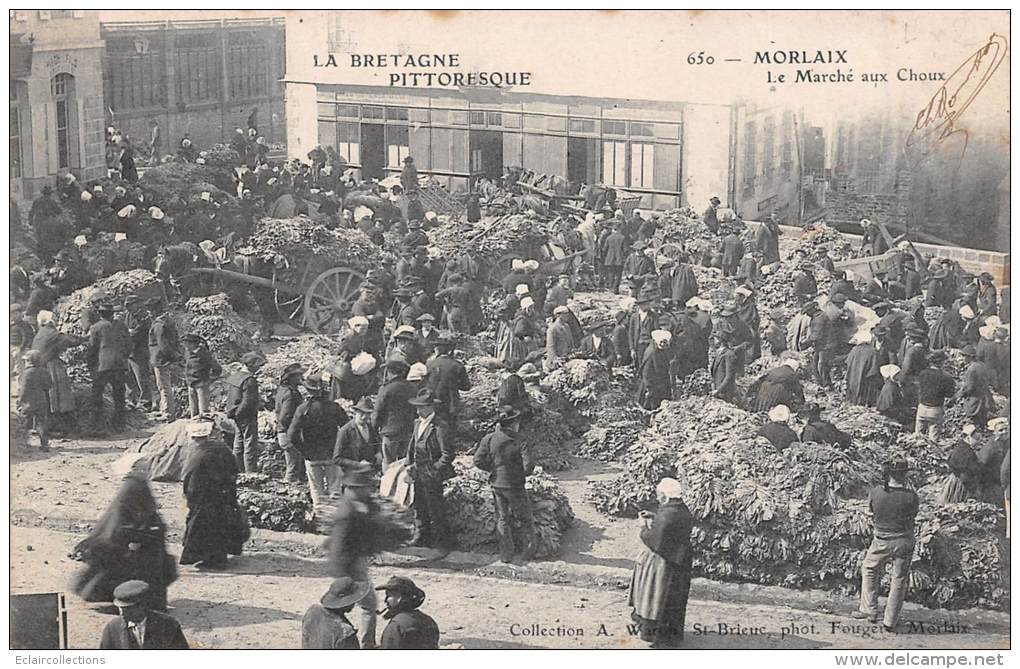 Morlaix       29      Le Marché Aux Choux - Morlaix