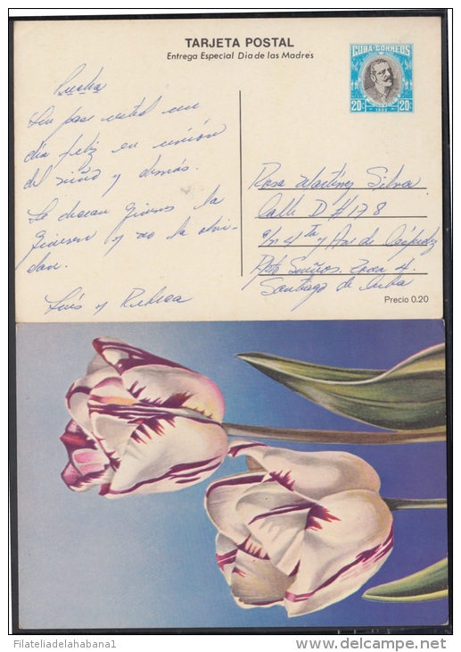 1983-EP-9 CUBA 1983. Ed.133b. MOTHER DAY SPECIAL DELIVERY. ENTERO POSTAL. POSTAL STATIONERY.TULIPANES. FLOWERS. FLORES. - Brieven En Documenten