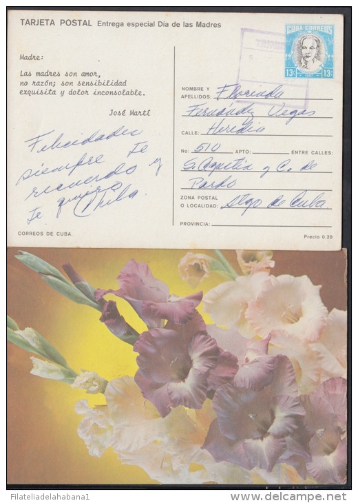 1987-EP-20 CUBA 1987. Ed.143. MOTHER DAY SPECIAL DELIVERY. POSTAL STATIONERY. FLORES. FLOWERS. VERSO: JOSE MARTI. USED. - Neufs