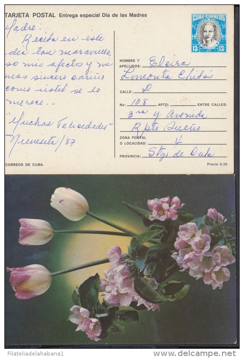 1987-EP-37 CUBA 1987. Ed.141h. MOTHER DAY SPECIAL DELIVERY. ENTERO POSTAL. POSTAL STATIONERY. TULIPANES. FLOWERS. FLORES - Neufs