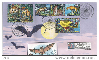 AUSTRALIE.Créatures De Nuit Australiennes (Chauve-souris,chouette,platypus,dingo,etc) Lettre FDC Adressée USA - Bats