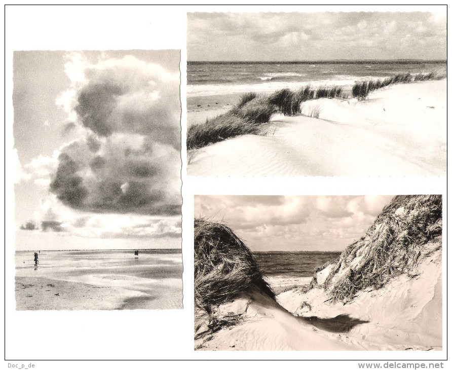 Germany - 3 AK - Nordseeinsel Amrum - Dünen Und Meer Mit Blick Auf Die Insel Sylt - Nordfriesland