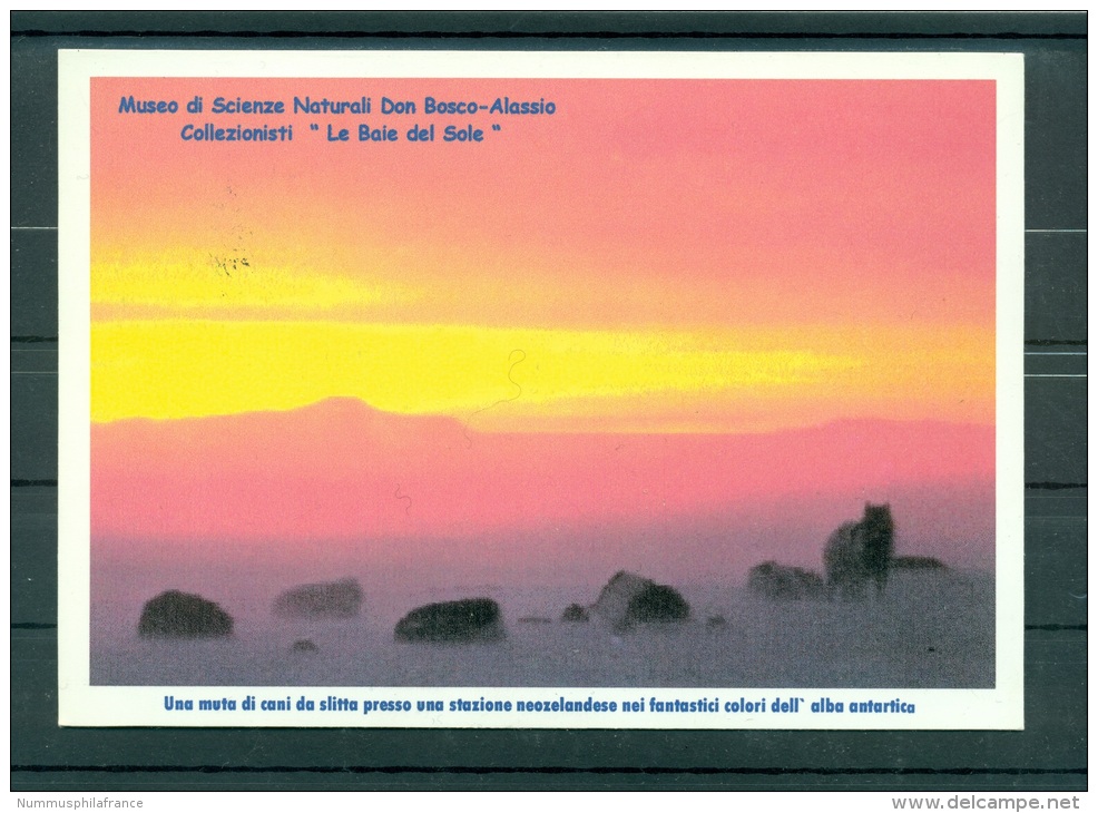 Italie 2001 - Carte Postale "une Meute De Chiens De Traîneau" - Faune Antarctique