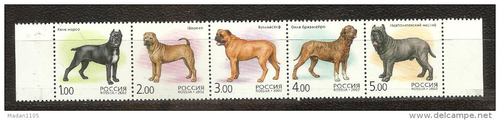 RUSSIA, 2002, Animals Fauna Animal Dog Mammals Mammal Dogs Sharpey Bull Mastiff,  MNH, (**) - Andere & Zonder Classificatie