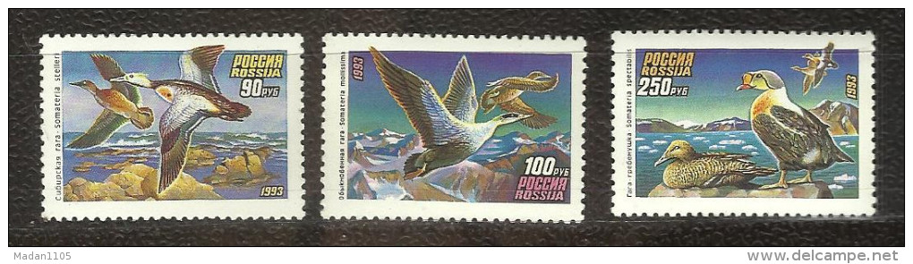 RUSSIA, 1993,  Wild Ducks Birds Bird Duck Fauna Animals Animal Nature King, Set 3 V,  MNH, (**) - Altri & Non Classificati