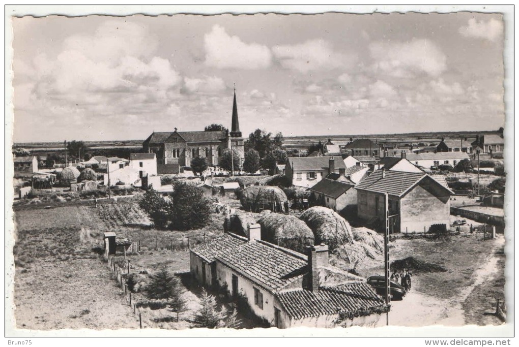 85 - NOTRE-DAME-DE-MONTS - Panorama Vu Du Moulin - JP 817 - Autres & Non Classés