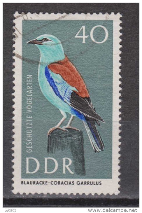 Duitsland Allemagne Deutschland Germany Alemania DDR Used ; Scharrelaar Roller Vogel Oiseau Ave Bird - Coucous, Touracos