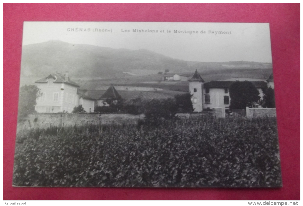 Cp Chenas Les Michelons Et La Montagne De Raymont - Chenas