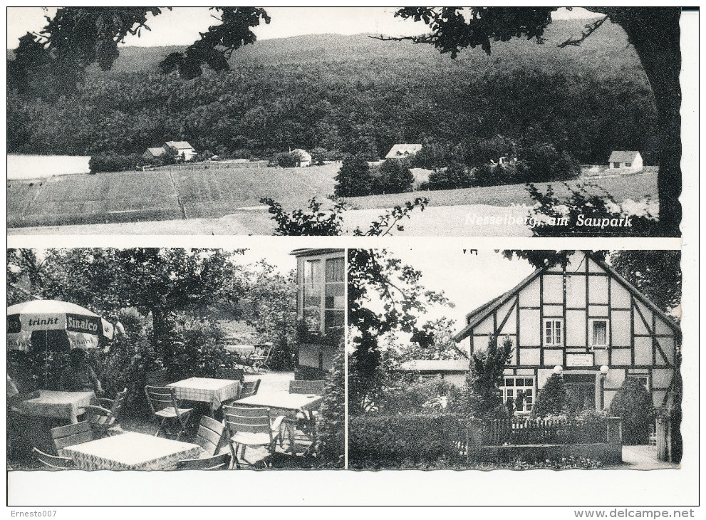 Postkarte CP DEUTSCHLAND WALDGASTSTÄTTE NESSELBURG COPPENBRÜGGE, 1960, Gebraucht - Siehe Scan - *) - Hameln (Pyrmont)