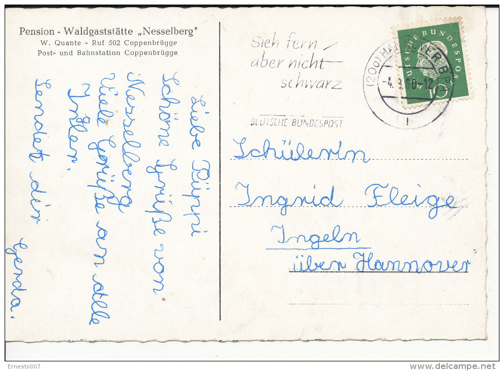 Postkarte CP DEUTSCHLAND WALDGASTSTÄTTE NESSELBURG COPPENBRÜGGE, 1960, Gebraucht - Siehe Scan - *) - Hameln (Pyrmont)