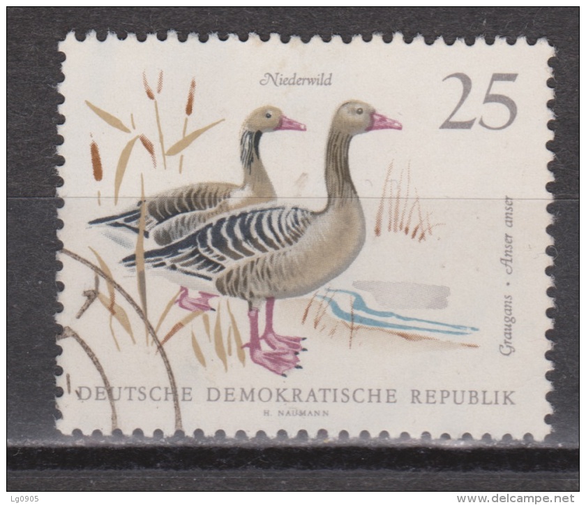 Duitsland Allemagne Deutschland Germany Alemania DDR Used : Gans Goose Oie Ganso Vogel Bird Ave Oiseau - Geese
