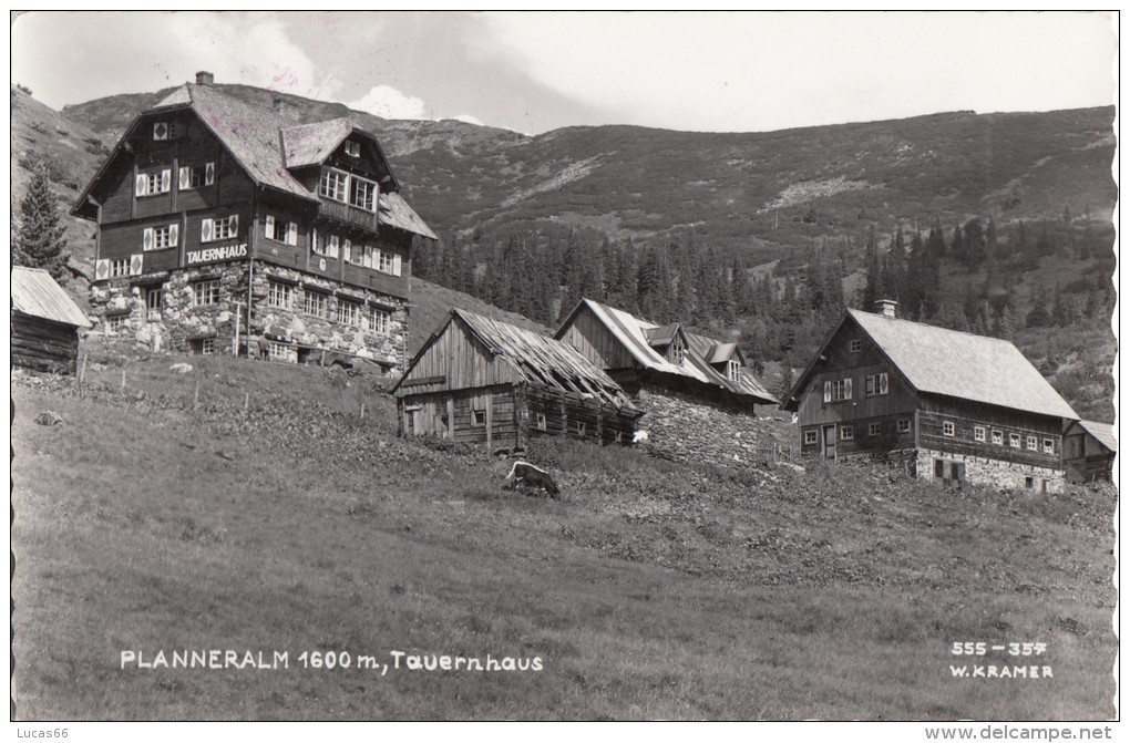 1960 CIRCA PLANNERALM TAVERNHAUS - Donnersbach (Tal)