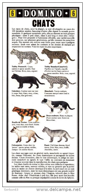 GUIDE COULEUR DOMINO GALLIA N°6 SOUS FORME DE CARTE ROUTIERE 24 PLANCHES 11cmX25cm CHATS A PEDIGREE TABBY UNICOLORE MOUC - Other Plans