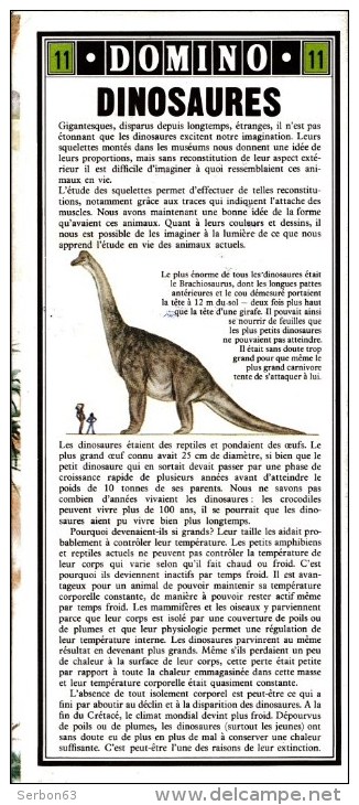 GUIDE DOMINO GALLIA N°11 EN COULEUR EN FORME DE CARTE ROUTIERE 24 PLANCHES 11cmX25cm DINOSAURES PREHISTORIQUE PROTOCERAT - Fichas Didácticas