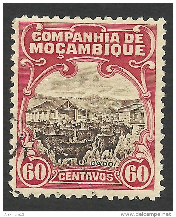 Mozambique Company, 60 C. 1923, Scott # 139, Used. - Mozambique