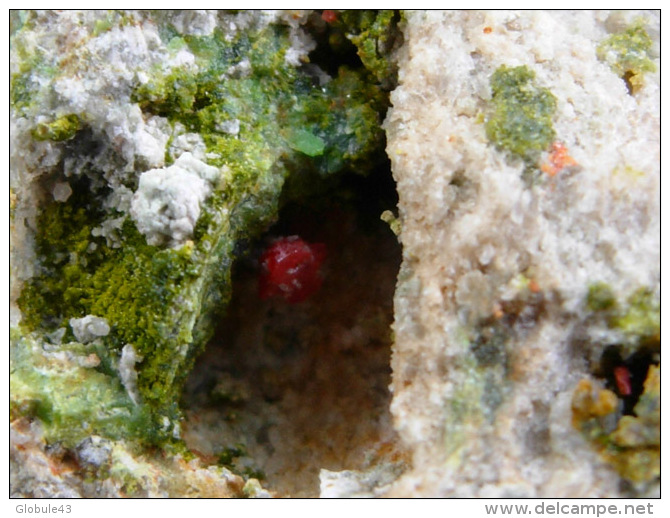 CROCOITE ET PYROMORPHITE  5,5 X 3,5 X 7  CM NONTRON - Minerals