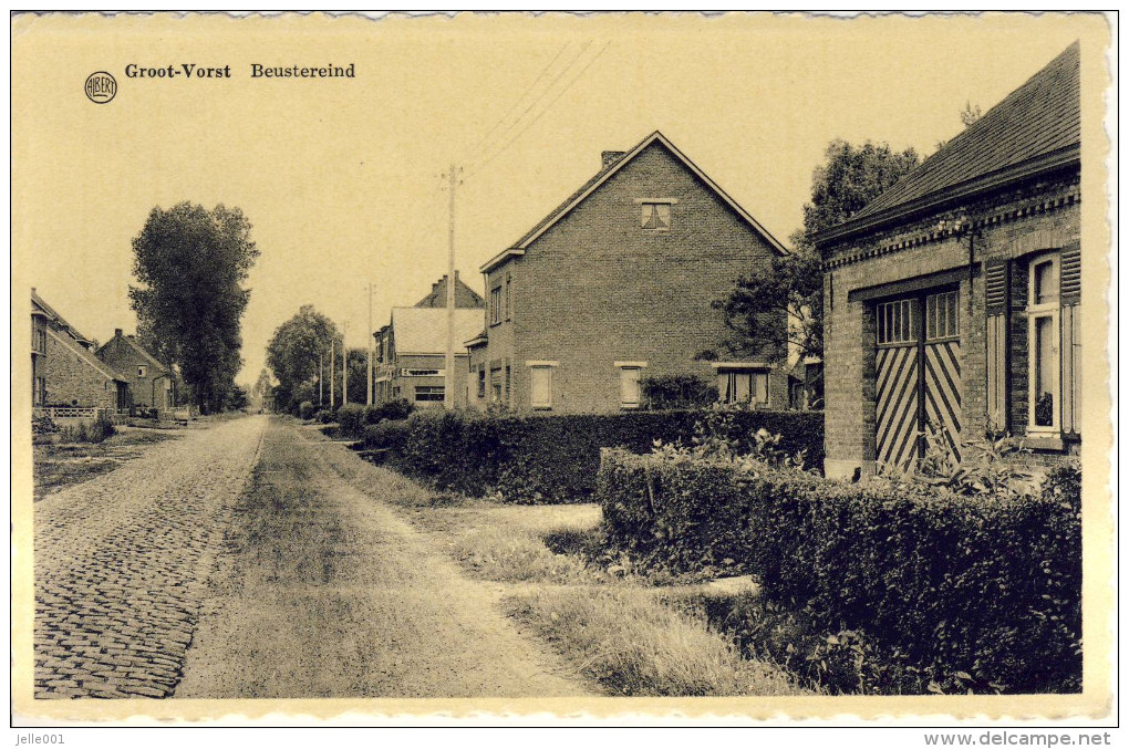 Groot-Vorst Beustereind - Laakdal