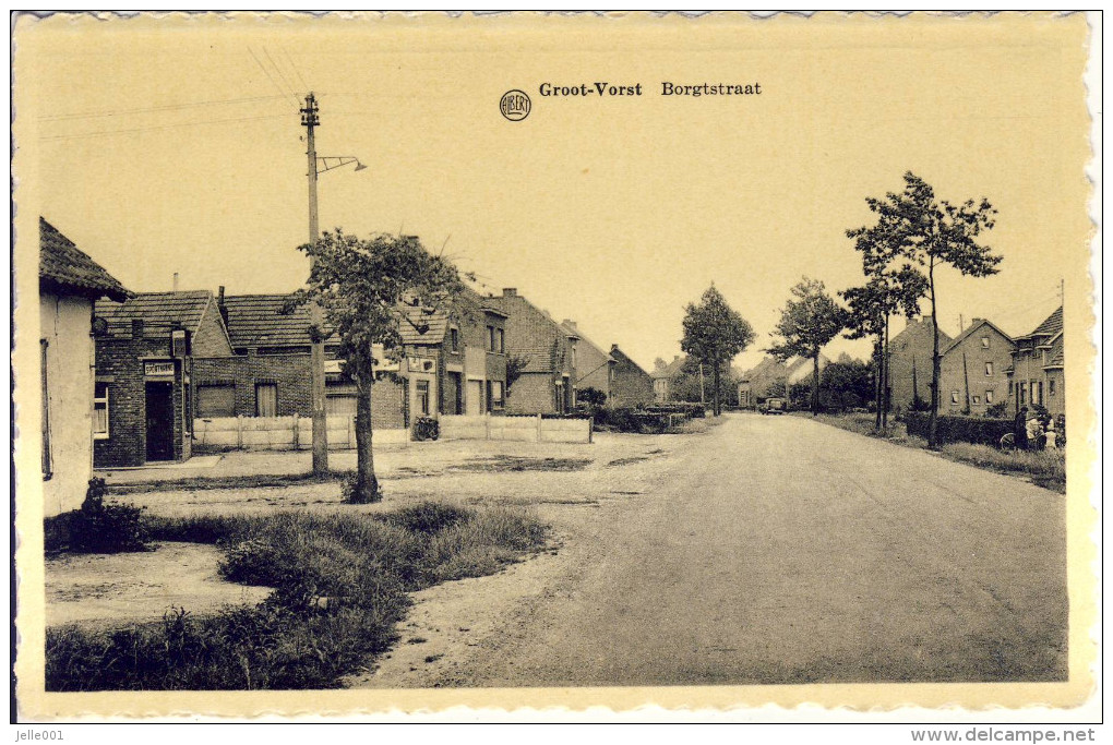 Groot-Vorst Borgtstraat - Laakdal