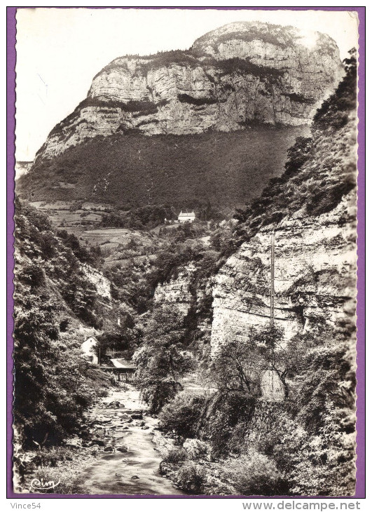 ST-ALBAN-LEYSSE - Les Gorges Du Bout Du Monde Le Château De Chaffardon Le Mont Penney Photo Véritable Circulé  1962 - Otros & Sin Clasificación