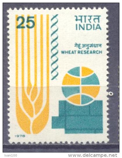 1978. India, Wheat Research, 1v, Mint/** - Unused Stamps