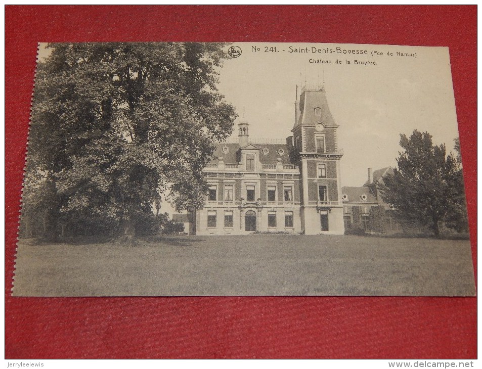 SAINT-DENIS-BOVESSE  -  LA  BRUYERE  -   Château  De La Bruyère   -    (2 Scans) - La Bruyère